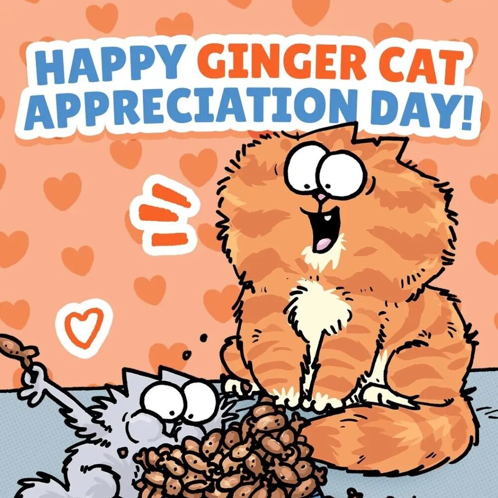 Meet your Posher, Gabbi